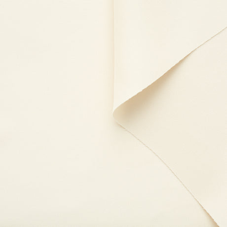 T22A02622 | Viscose & Silk Cady