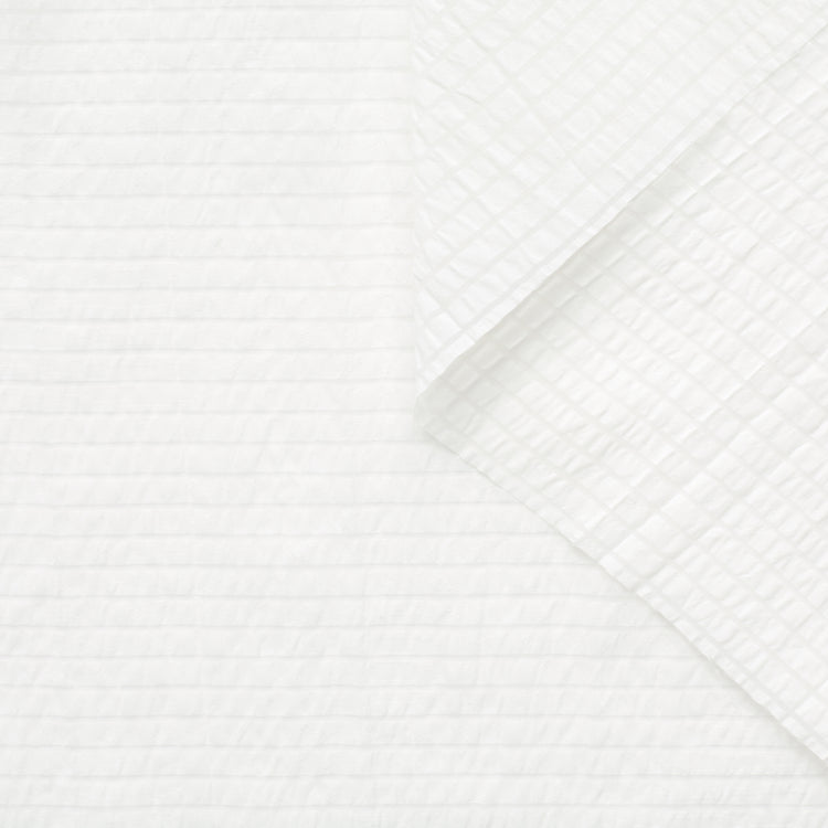 T22A02738 | Sheer Striped Seersucker - view 1