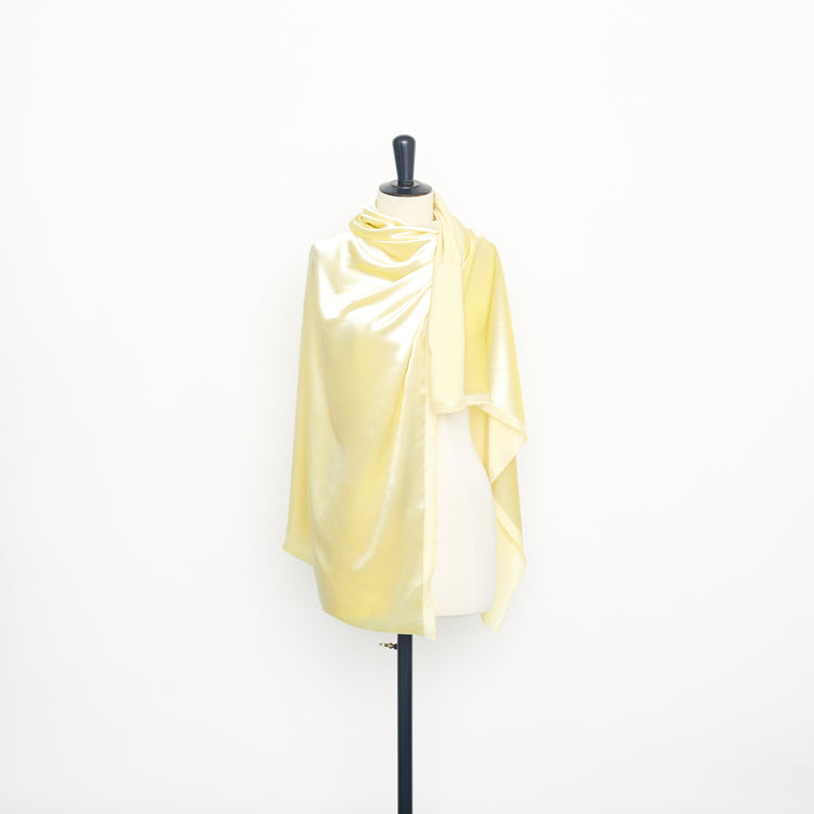 T22A02789 | Cupro Glossy Velvet - view 2