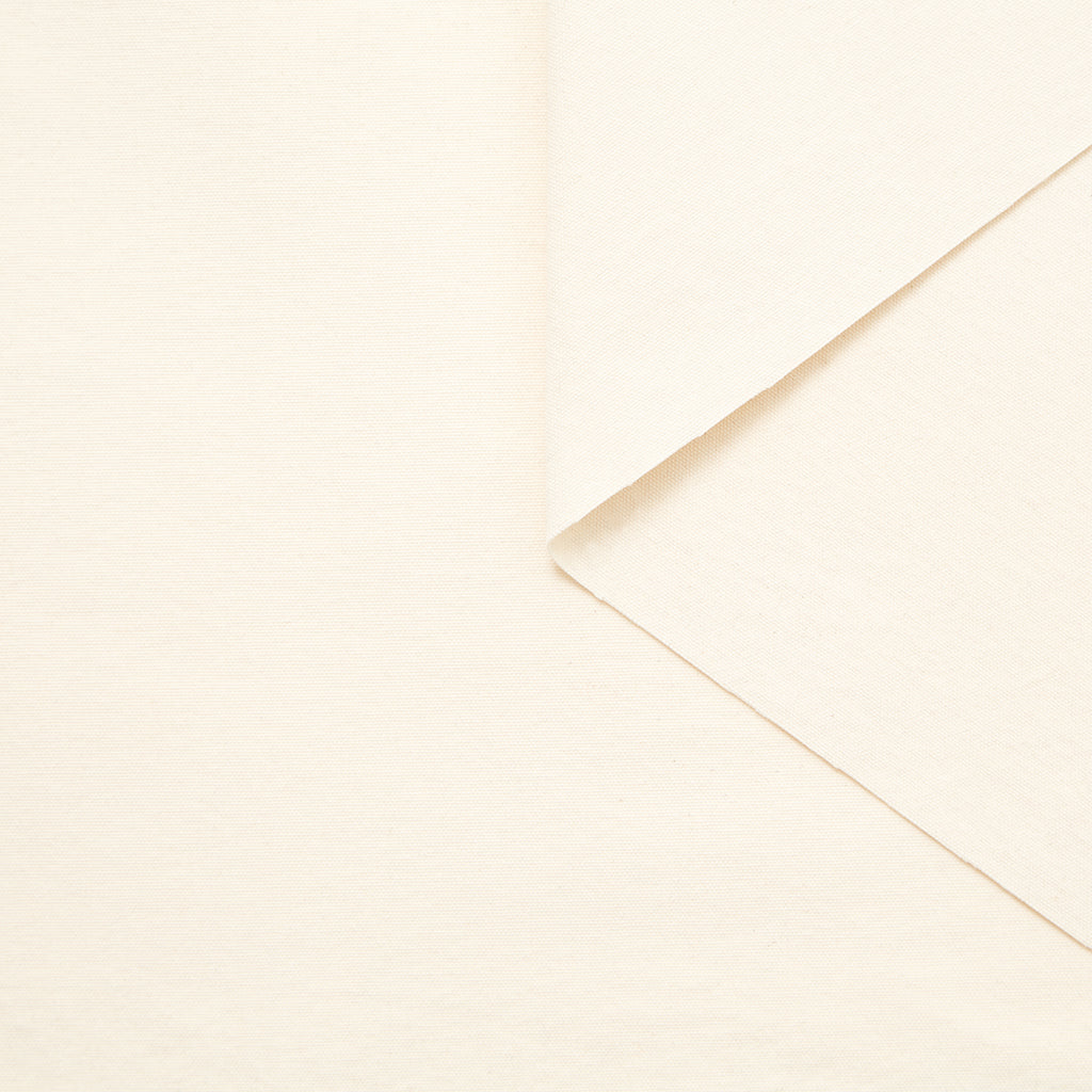 T22A02906 | Toile de Coton Panama