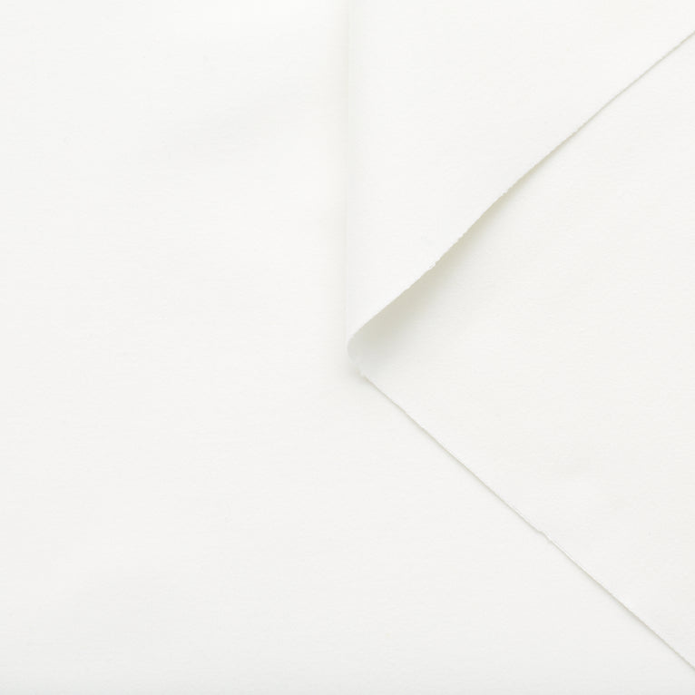 T22A02923 | Double Face Cotton Moleskine - view 4