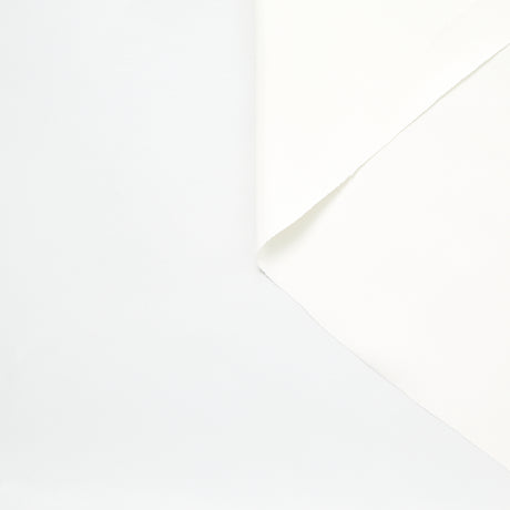 T22A02937 | Sergé de Viscose