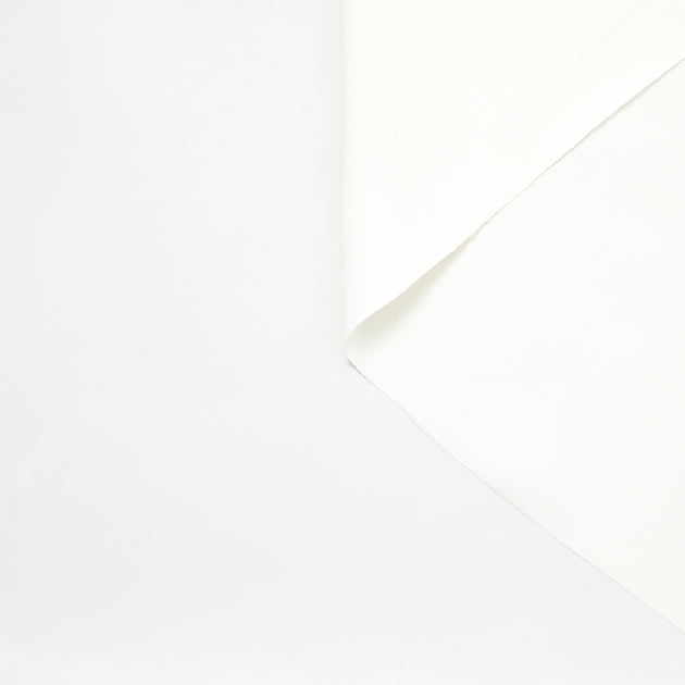 T22A02937 | Viscose Twill