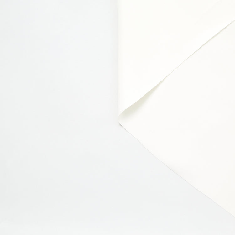 T22A02937 | Sergé de Viscose - vue 1