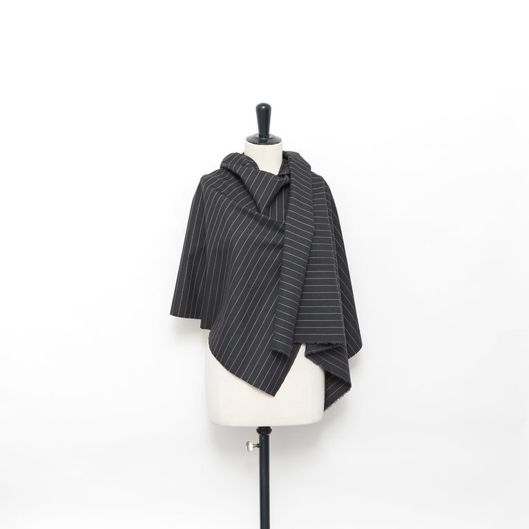 T22A02975 | Sergé de Laine Pinstripe - vue 2