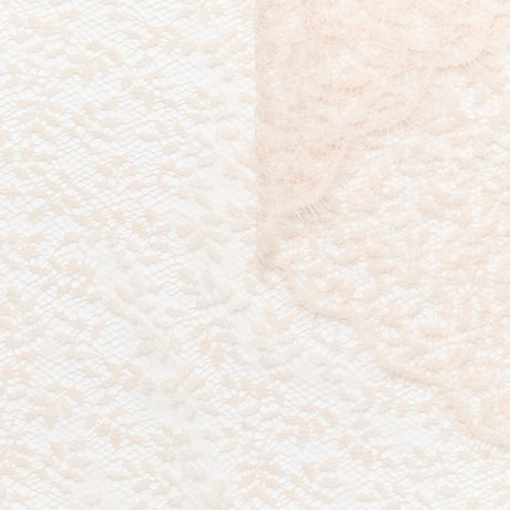 T22I00925 | Dentelle Rameaux Festonnée