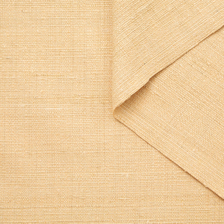 T22N01323 | Tussah Silk & Cotton Canvas