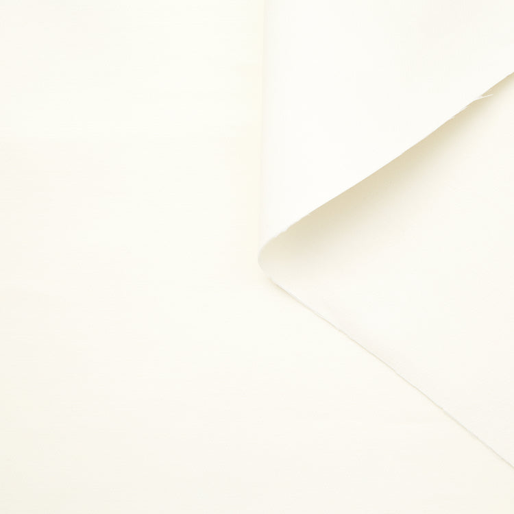 T22N01357 | Double Face Silk &amp; Wool Diagonal - view 1