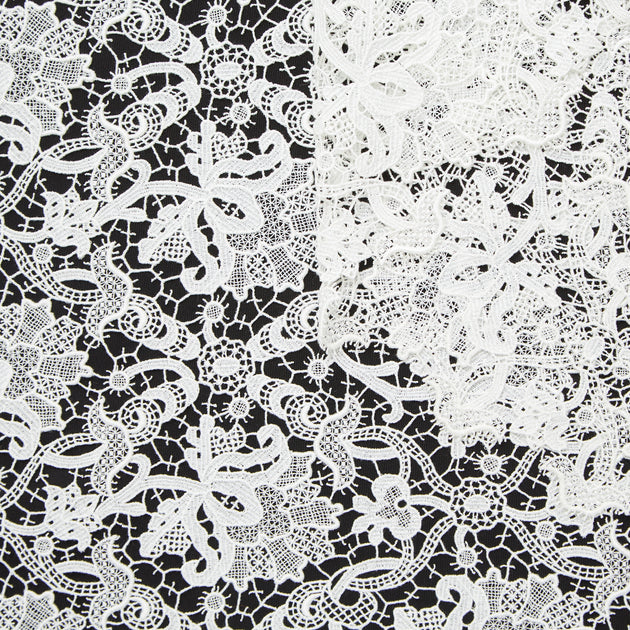 T22N01380 | Nylon Floral Guipure