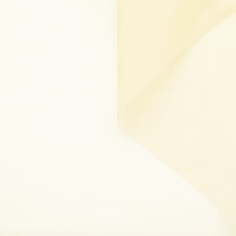 T23A05131 | Silk Organza