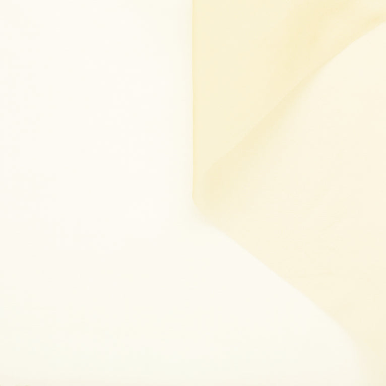 T23A05131 | Silk Organza - view 1