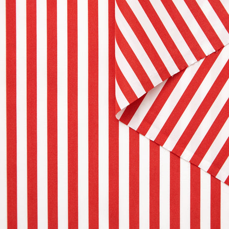 T23A05242 | Stripe Silk Poplin
