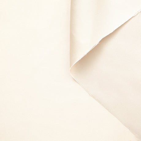 t23a05243 | Twill de Soie Brillant