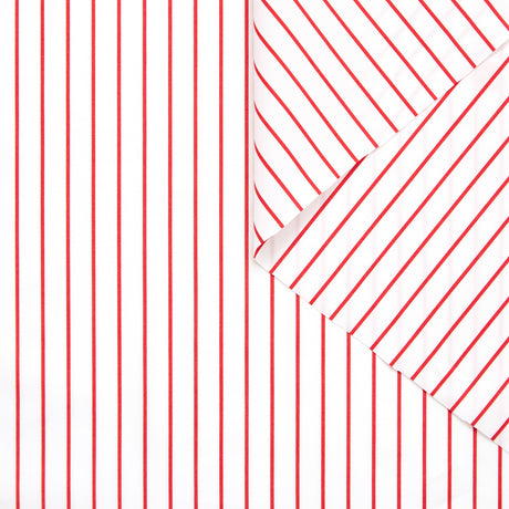 T23A05326 | Stripe Cotton Poplin