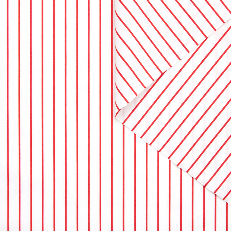 T23A05326 | Stripe Cotton Poplin - view 1