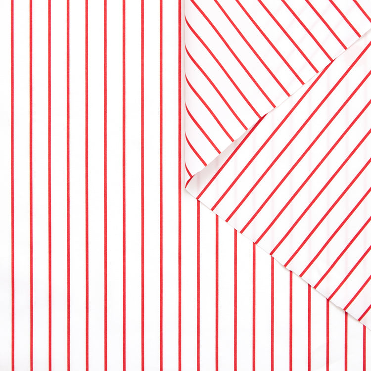 T23A05326 | Stripe Cotton Poplin - view 1