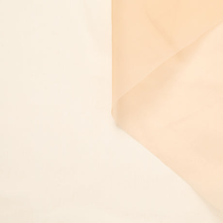 T23A05519 | Dry Silk Organza