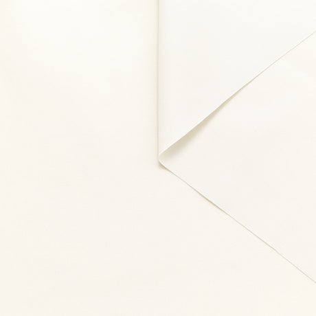 T23B06110 | Twill de Coton BCI