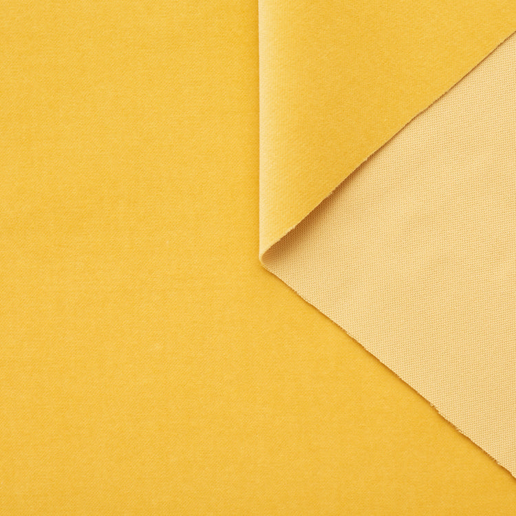 T23C04835 | Smooth Cotton Velvet - view 1