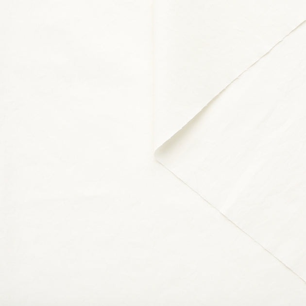 T23C04840 | WR Coated Cotton