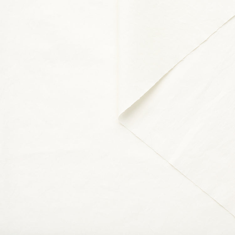 T23C04840 | WR Coated Cotton - view 1