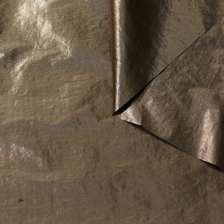 t23c04851 | Toile Papier Métallisée Déperlante