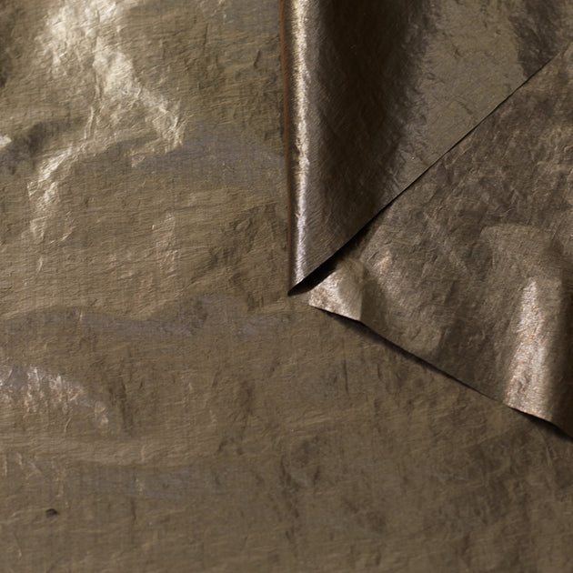 T23C04851 | WR Metallic Papery Canvas