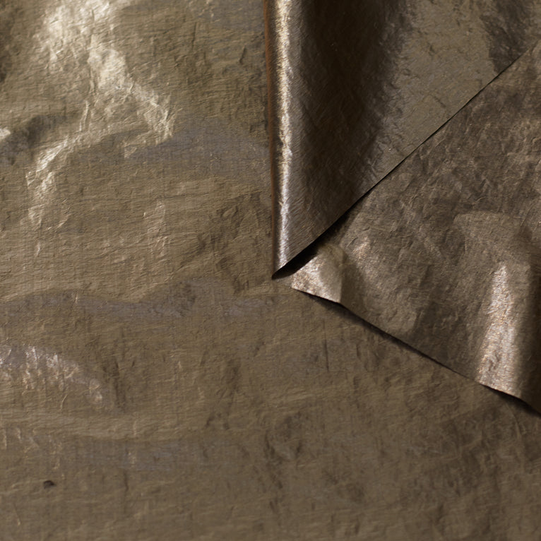 t23c04851 | Toile Papier Métallisée Déperlante - vue 3