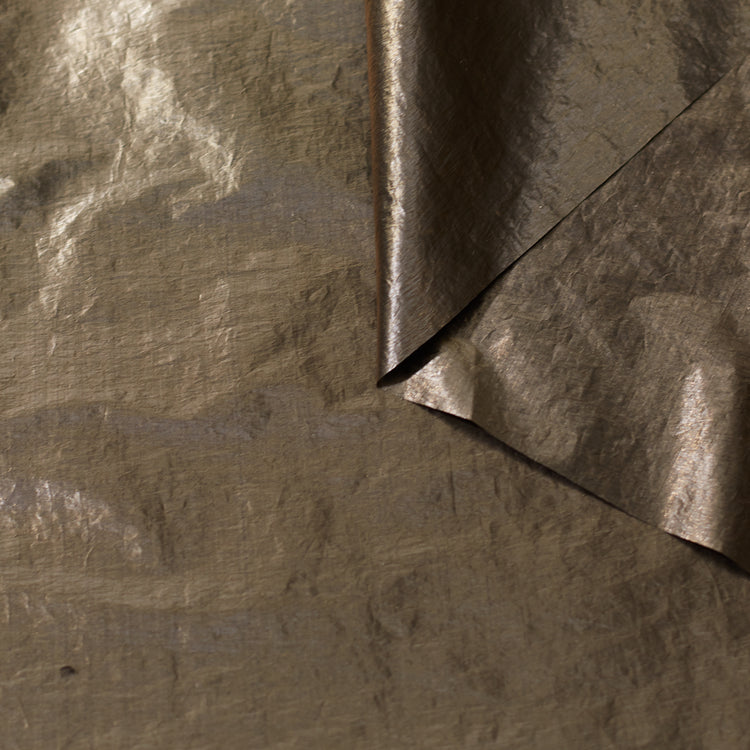 t23c04851 | Toile Papier Métallisée Déperlante - vue 1
