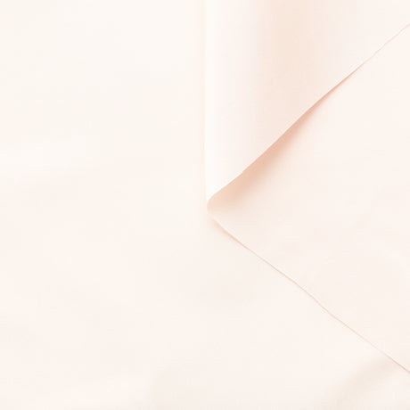 T23C04863 | Silk Radzimir Taffeta