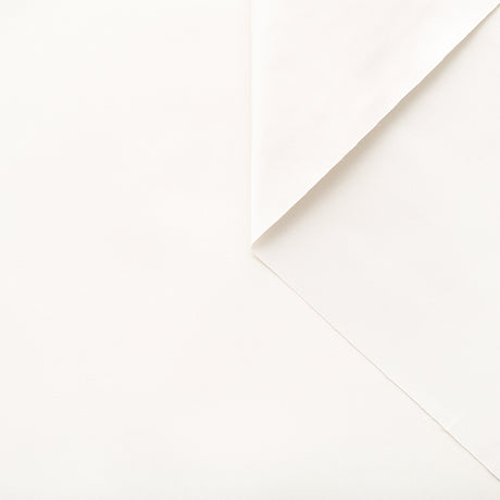  Silk Radzimir Taffeta