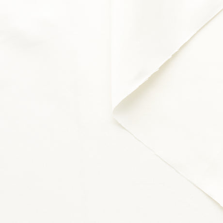 t23c04889 | Taffetas Radzimir en Soie