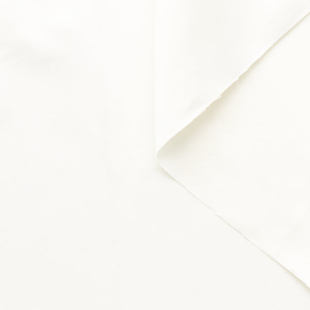 T23C04889 | Silk Radzimir Taffeta