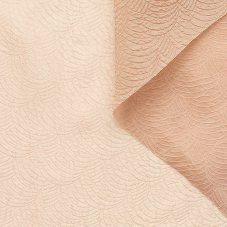 t23c04981 | Organza Cloqué en Soie