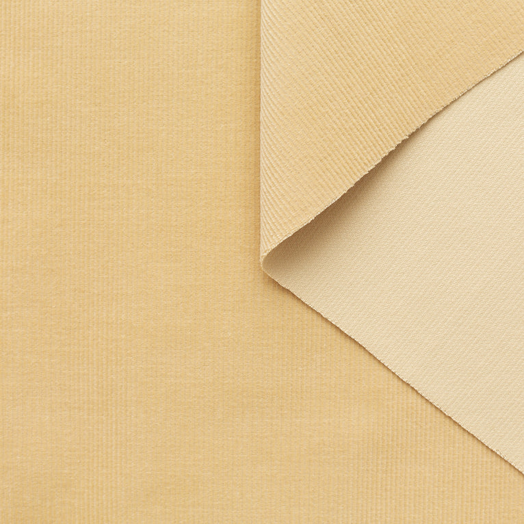 T23C05034 | Feather Cotton Corduroy - view 2