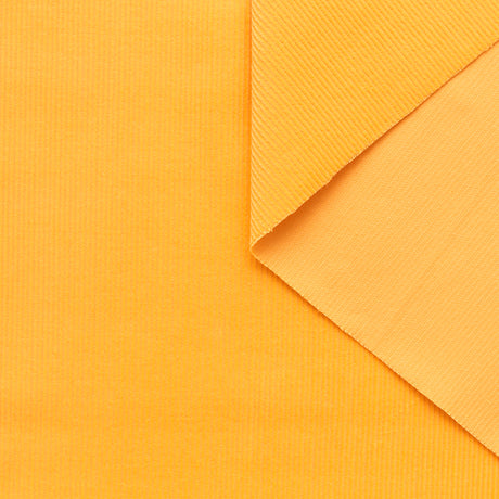 T23C05034 | Feather Cotton Corduroy