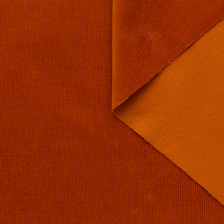 T23C05034 | Feather Cotton Corduroy