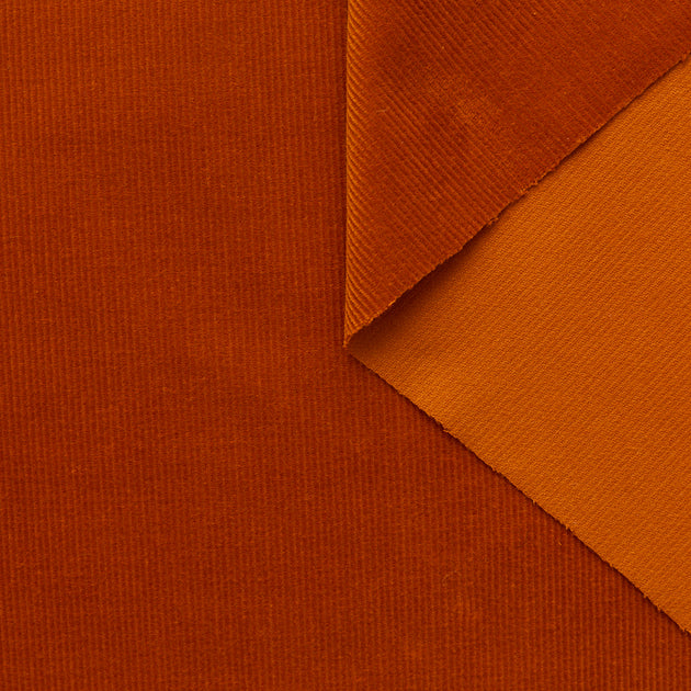 T23C05034 | Feather Cotton Corduroy