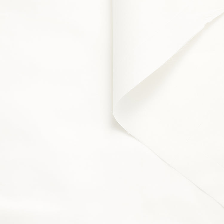 T23H06427 | Raw Silk Twill (Greggio) - view 1