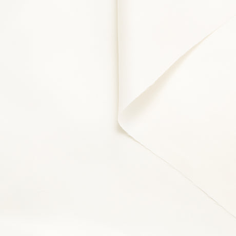 T23H06430 | Twill de Soie Prêt-à-Teindre Encres Réactives