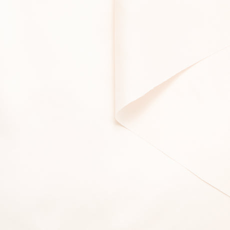 T23H06431 | Twill de Soie Prêt-à-Teindre Encres Réactives