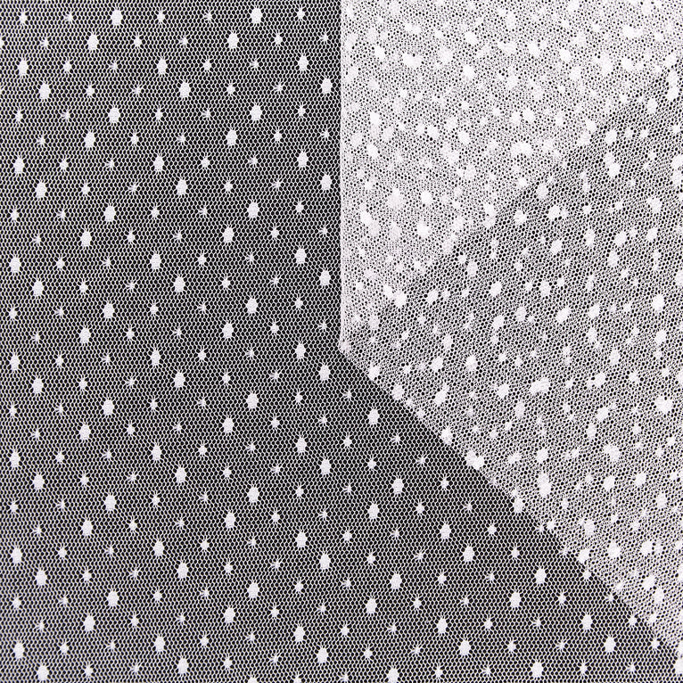 T23I06369 | Tulle Plumetis - vue 1