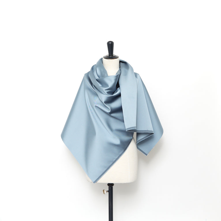 T23L06259 | Radzimir Twill Lustré - vue 2