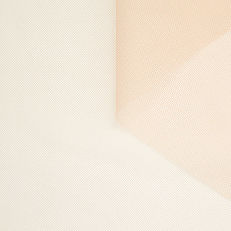 t23m05655 | Tulle Rigide