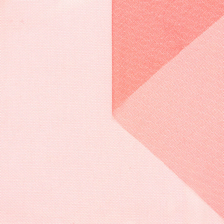 t23m05668 | Tulle Souple