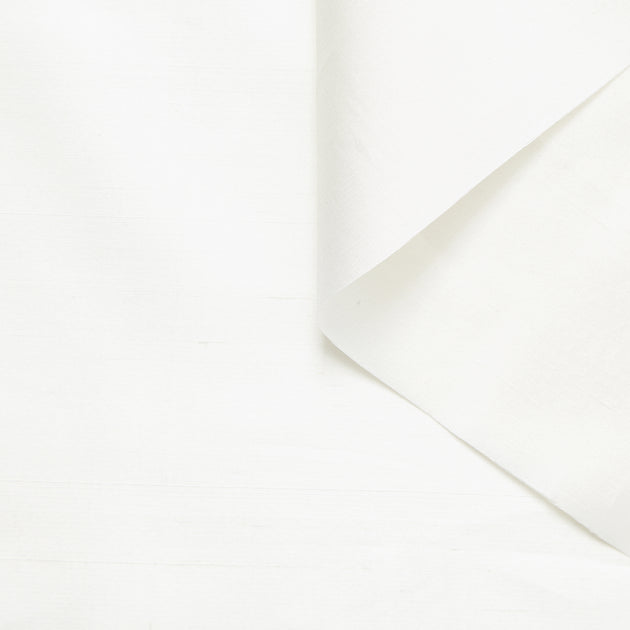 T23M05703 | Raw Silk Taffetas