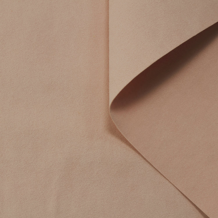 t23t04800 | Alcantara® - vue 1