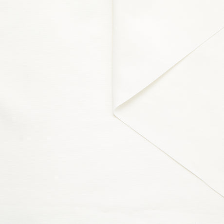 T23V05859 | Cotton Basketweave Canvas