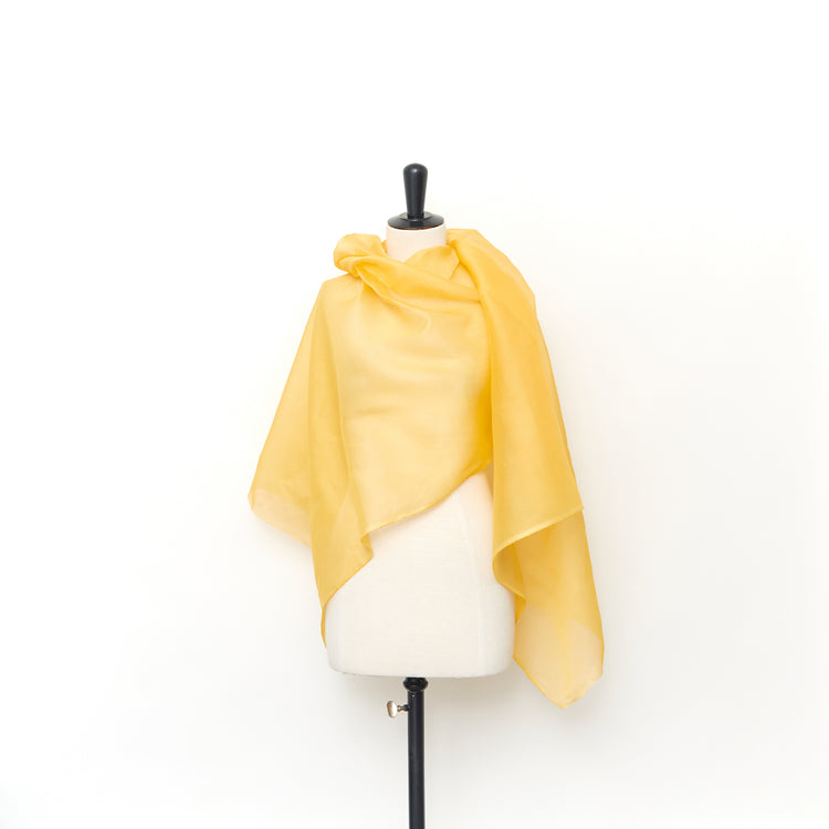T23V05926 | Organza de Coton - vue 2