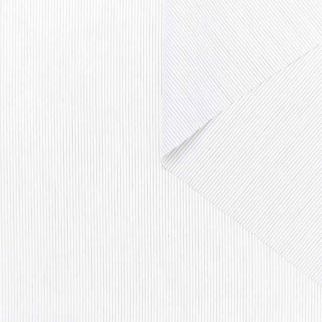 T23V05933 | Popeline de Coton Rayée